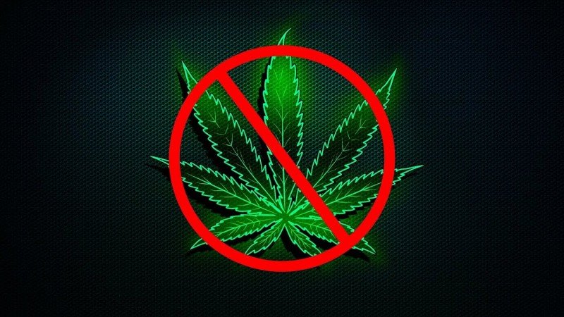 Почему конопля (марихуана) вне закона?!