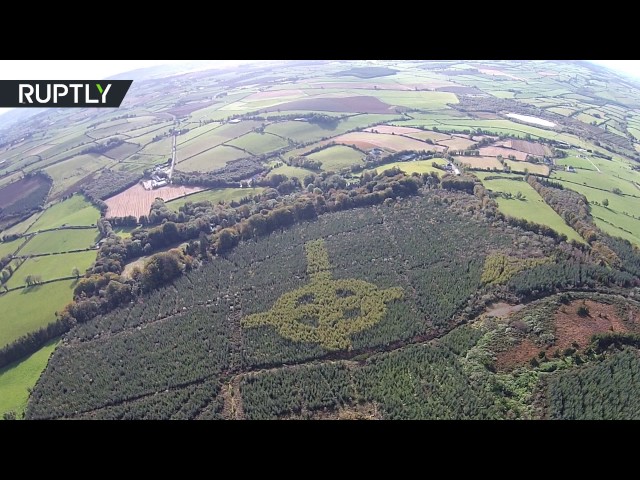 В ирландском лесу обнаружили гигантский кельтский крест из крон деревьев