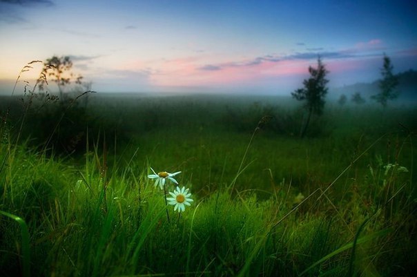 Я почувствовал нежность мира, глубокую благость всего, что окружало меня