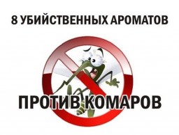 Как побороть комаров?