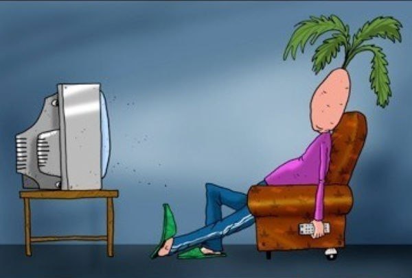 Алкоголь и телевизор. Наркотики для тела и сознания