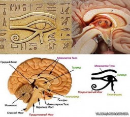 Девять способов активизации третьего глаза Девять способов активизации третьего глаза