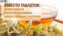 Как понизить высокую температуру тела без таблеток?