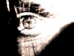 Как избавиться от трёх главных страхов человека? Как избавиться от трёх главных страхов человека?