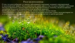 Роса исцеляющая