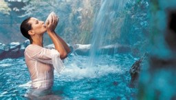 Связь иммунитета с характером Связь иммунитета с характером