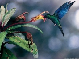 34 шага, ведущие к осознанию