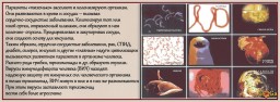 Паразиты в организме человека провоцируют различные заболевания