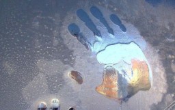 Происхождение слов "Мерзавец" и "Подлец"?