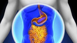 Здоровый кишечник – основа здоровья всего организма