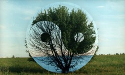 Дао в повседневной жизни