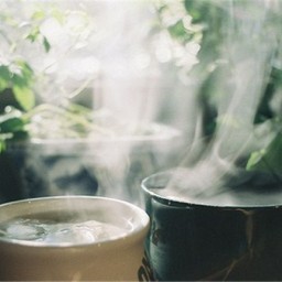 Лучшие рецепты чая от путешественников Алтая