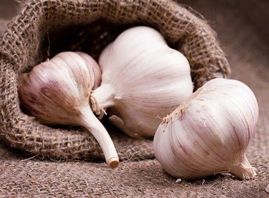 Энергетические возможности чеснока