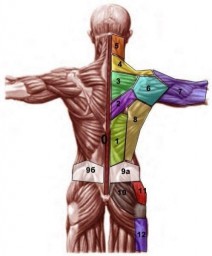 Проекция психосоматических проблем на теле