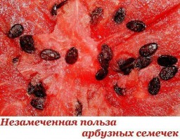 Незамеченная польза арбузных семян