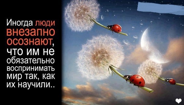 О технологии убийства души, или как человека превратить в выродка