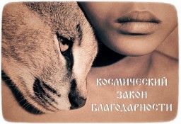 Космический закон благодарности