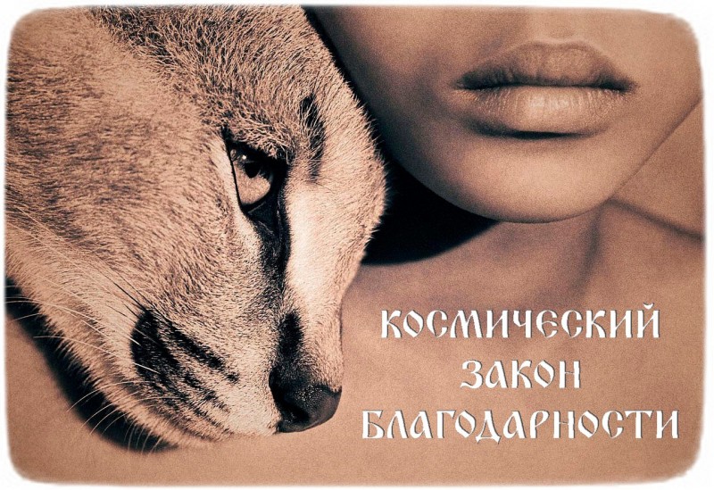 Космический закон благодарности