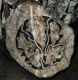 Историк отвечает на неудобные вопросы, связанные с аномальными артефактами