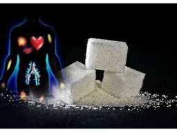 Сахар опаснее холестирина
