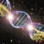 В ДНК человека обнаружили гены внеземного происхождения