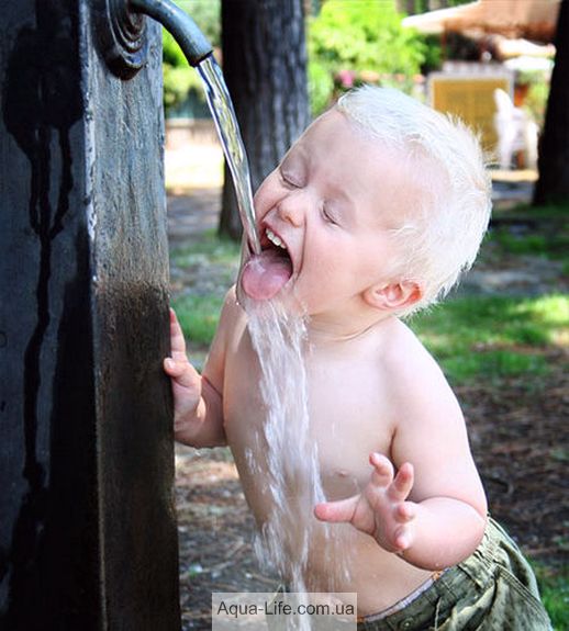 Живая вода Живая вода