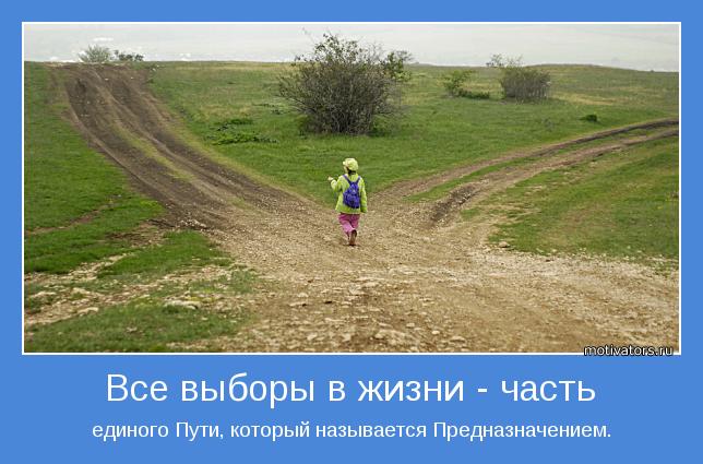 Психология выбора Психология выбора