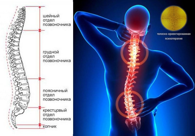 Психосоматические проблемы с позвоночником