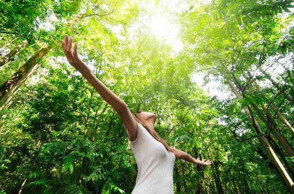 Стихии природы