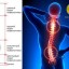 Психосоматические проблемы с позвоночником