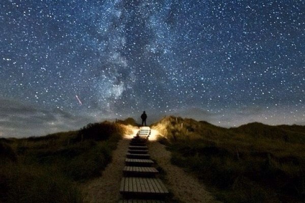 Психология выбора