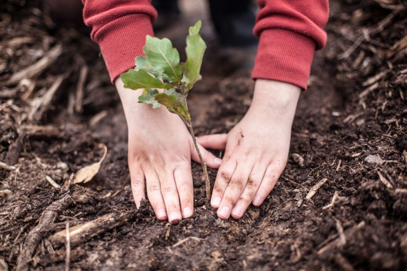 Что такое нравственность