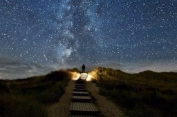 Психология выбора