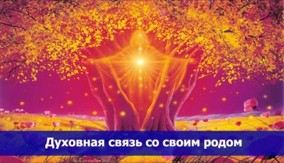 ​ Важность связи со своим родом