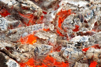 Лечение золой