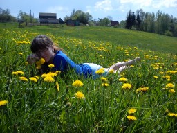 мои фотографии