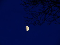 Мои фотоработы