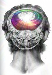 Как сознание управляет материей.