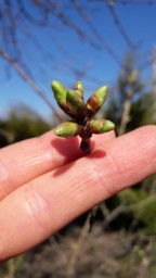 Мир вокруг меня.