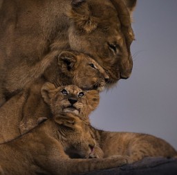 Красота в простом