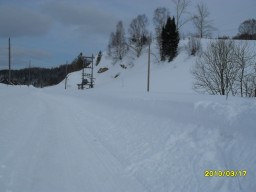 Природа кузбасса.