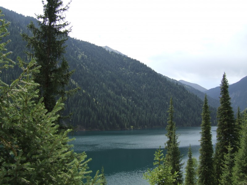 Как запустить целебные силы организма