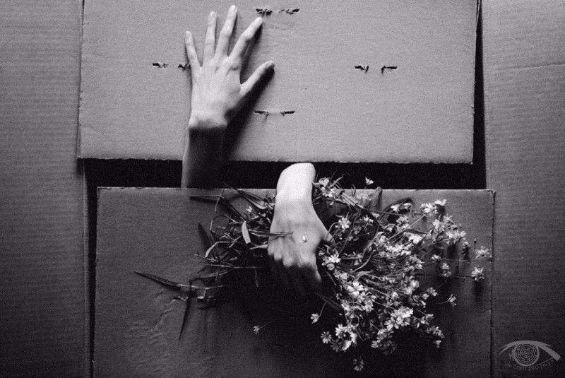 Вещи, которые стоит держать в секрете Вещи, которые стоит держать в секрете