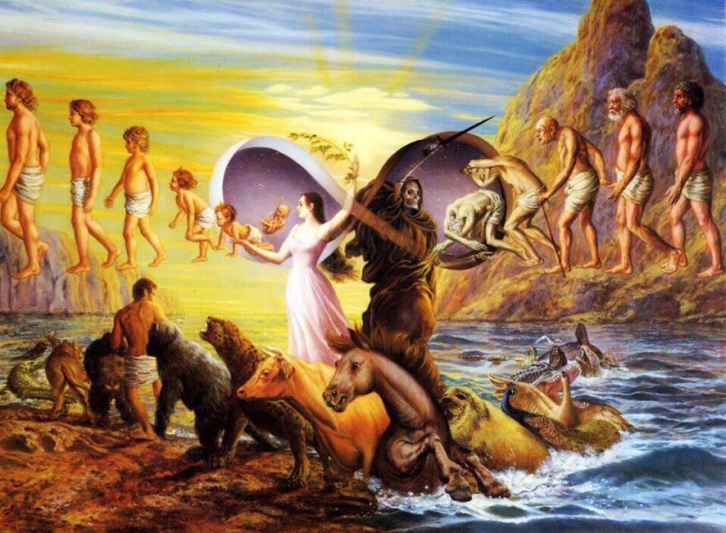 Инструкция для тех, кто не понял, куда попал при рождении Инструкция для тех, кто не понял, куда попал при рождении