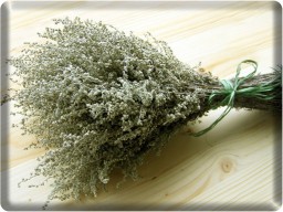 ЗДРАВА: О ЧЁМ УМАЛЧИВАЮТ ВРАЧИ. ПОЛЫНЬ ПРОТИВ …