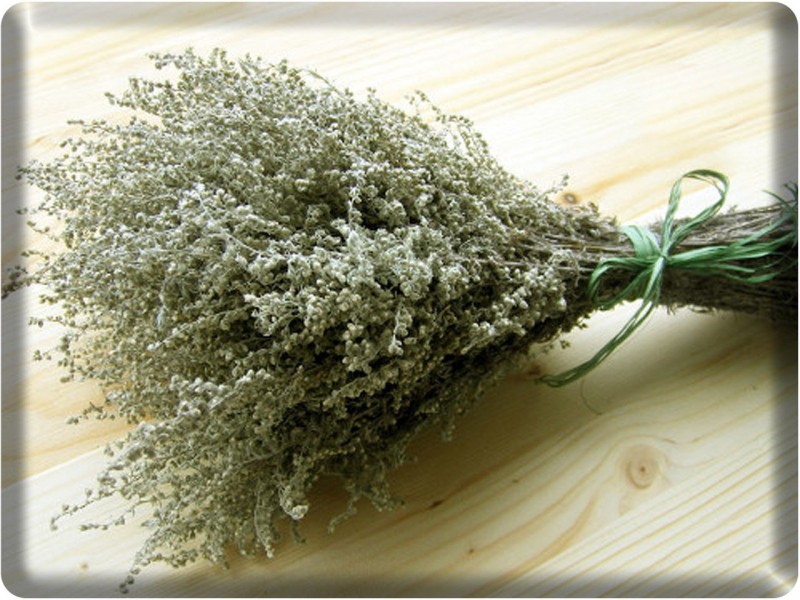 ЗДРАВА: О ЧЁМ УМАЛЧИВАЮТ ВРАЧИ. ПОЛЫНЬ ПРОТИВ … ЗДРАВА: О ЧЁМ УМАЛЧИВАЮТ ВРАЧИ. ПОЛЫНЬ ПРОТИВ …