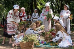 Почему травы из аптеки не лечат?