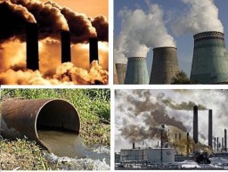 ОТНОШЕНИЕ К ПРИРОДЕ