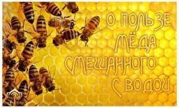 О ПОЛЬЗЕ МЁДА СМЕШАННОГО С ВОДОЙ.