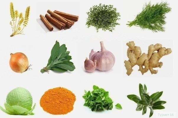 ПРИРОДНЫЕ АНТИСЕПТИКИ